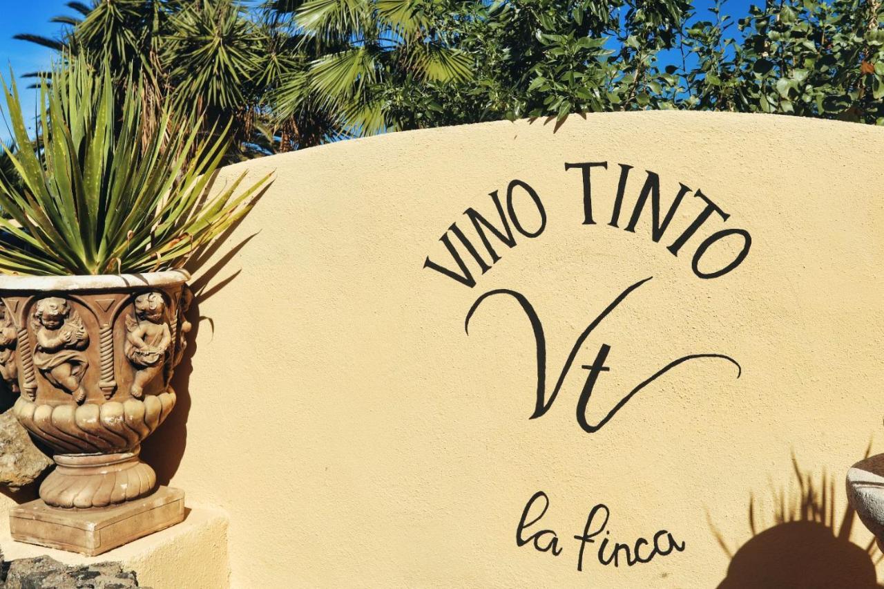 Finca Vino Tinto 4 Icod De Los Vinos Exterior foto